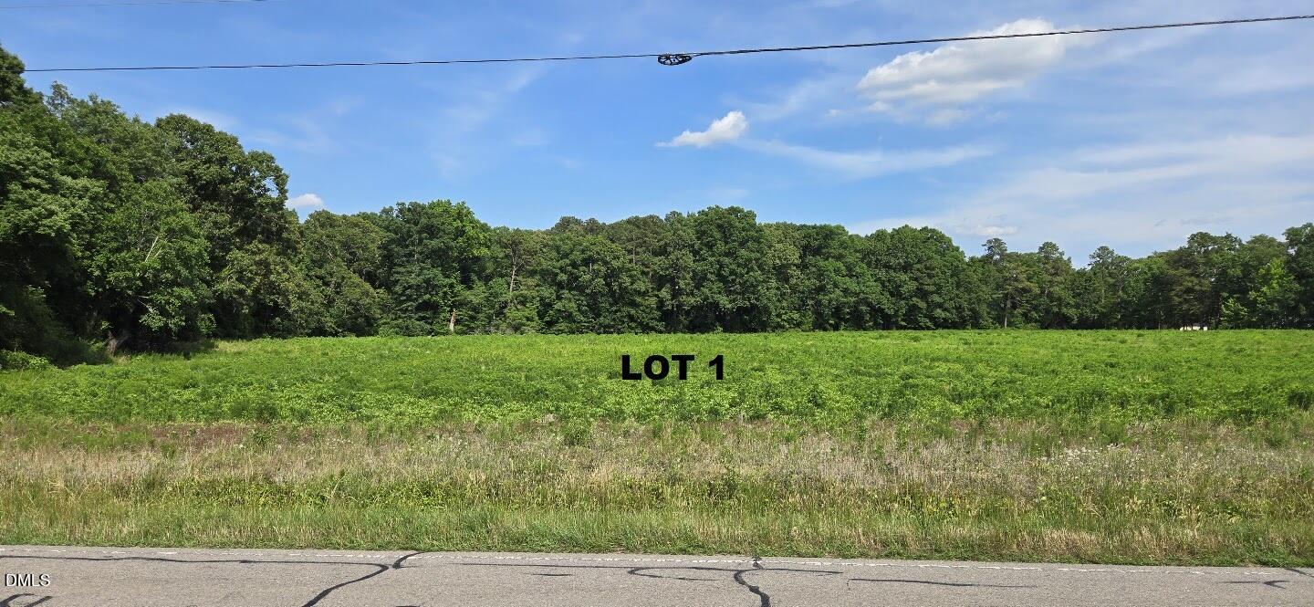 0 Lemon Springs Road Sanford, NC 27332 - Photo 4 of 8