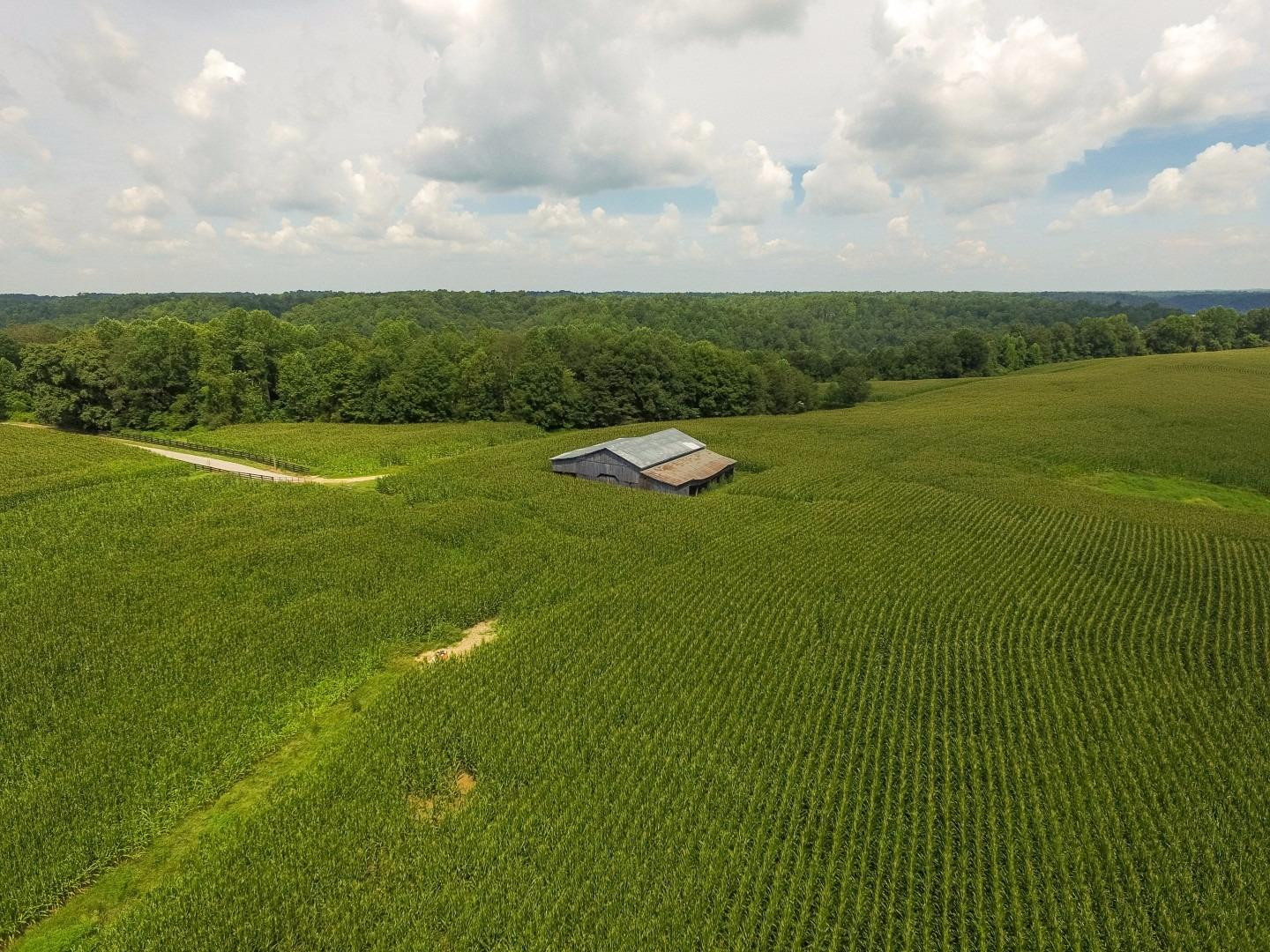 845 Apostolic Ridge Road Liberty, KY 42539 - Photo 68 of 72 Photo 68
