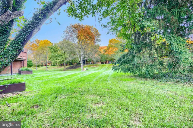 a view of a park with a slide