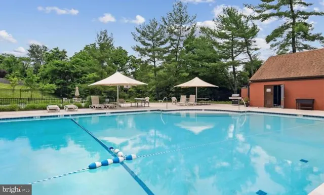 an outdoor space with lots of trees