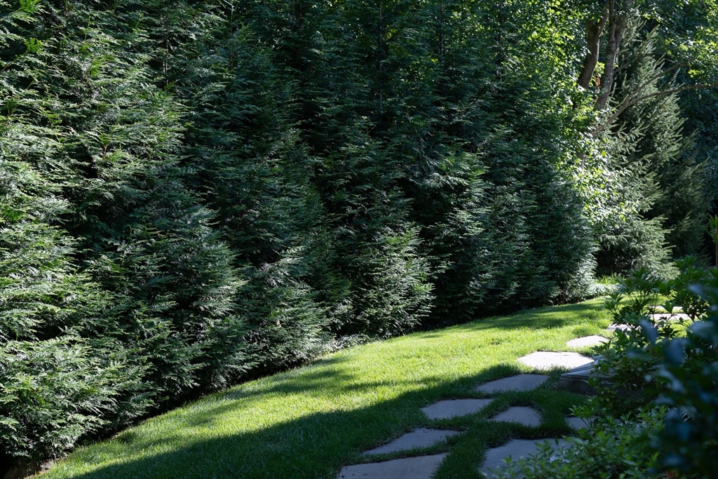 46 Concord Road Weston, MA 02493 - Photo 38 of 42 a view of yard with green space