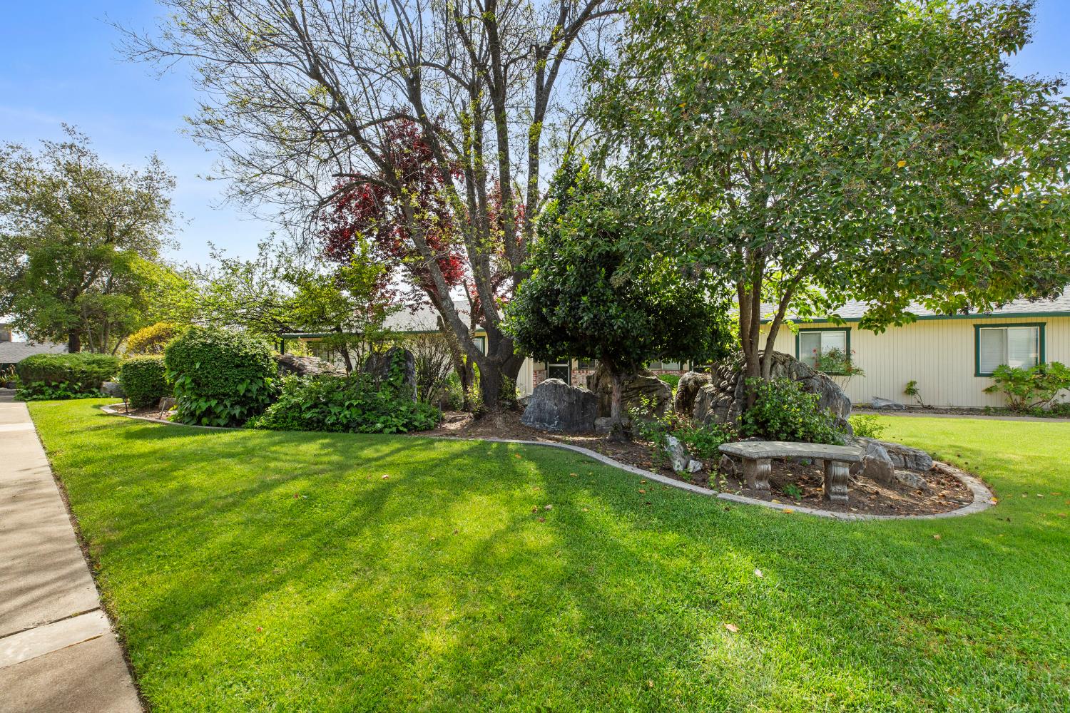 91 Summit Avenue Sonora, CA 95370 - Photo 13 of 53 a view of a backyard with table and chairs and potted plants and large trees