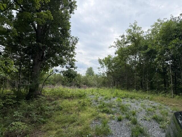 0 Kelly Ridge Road Irvine, KY 40336 - Photo 17 of 39 22