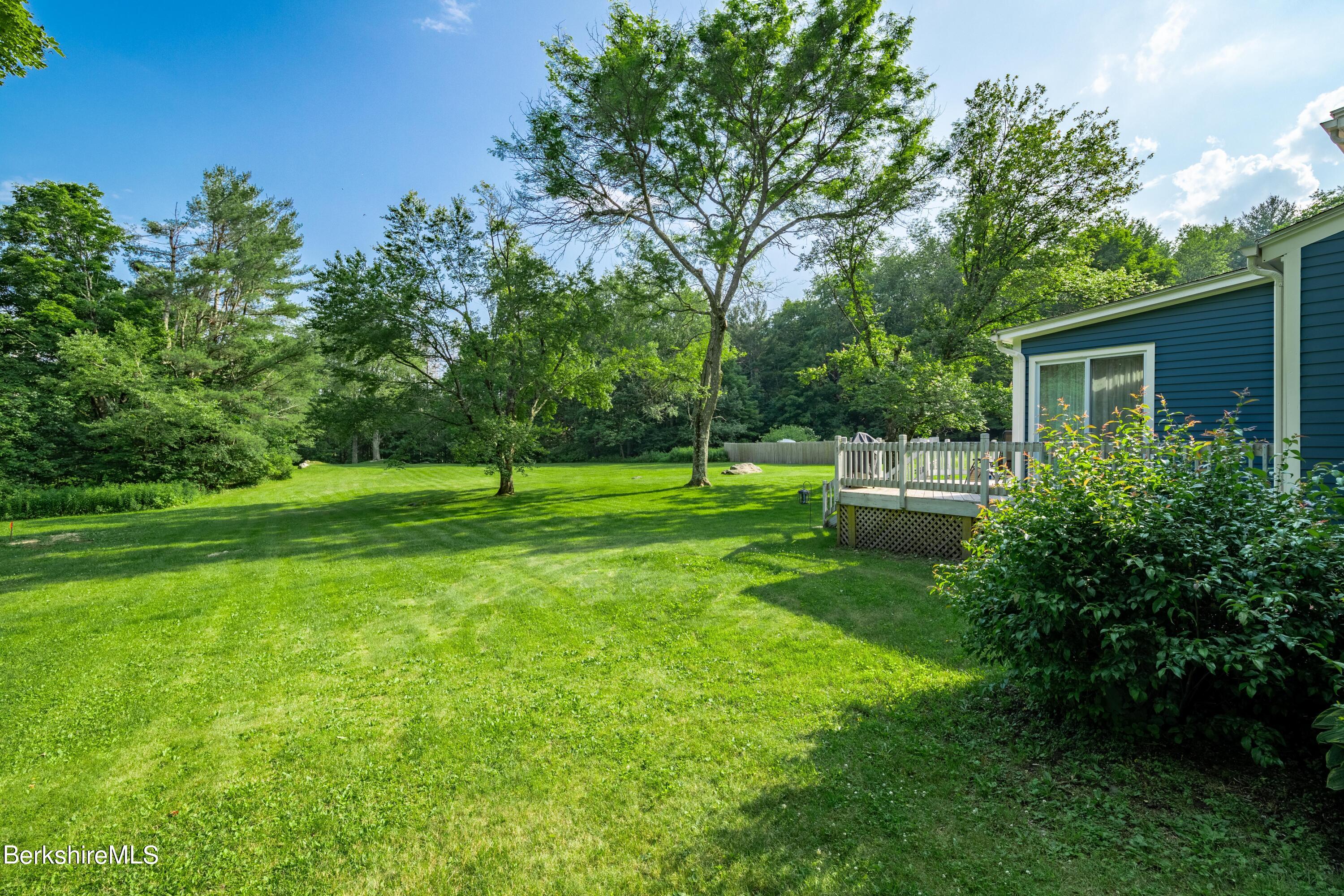 135 Ed Jones Road Otis, MA 01253 - Photo 7 of 45 a view of a park with large trees