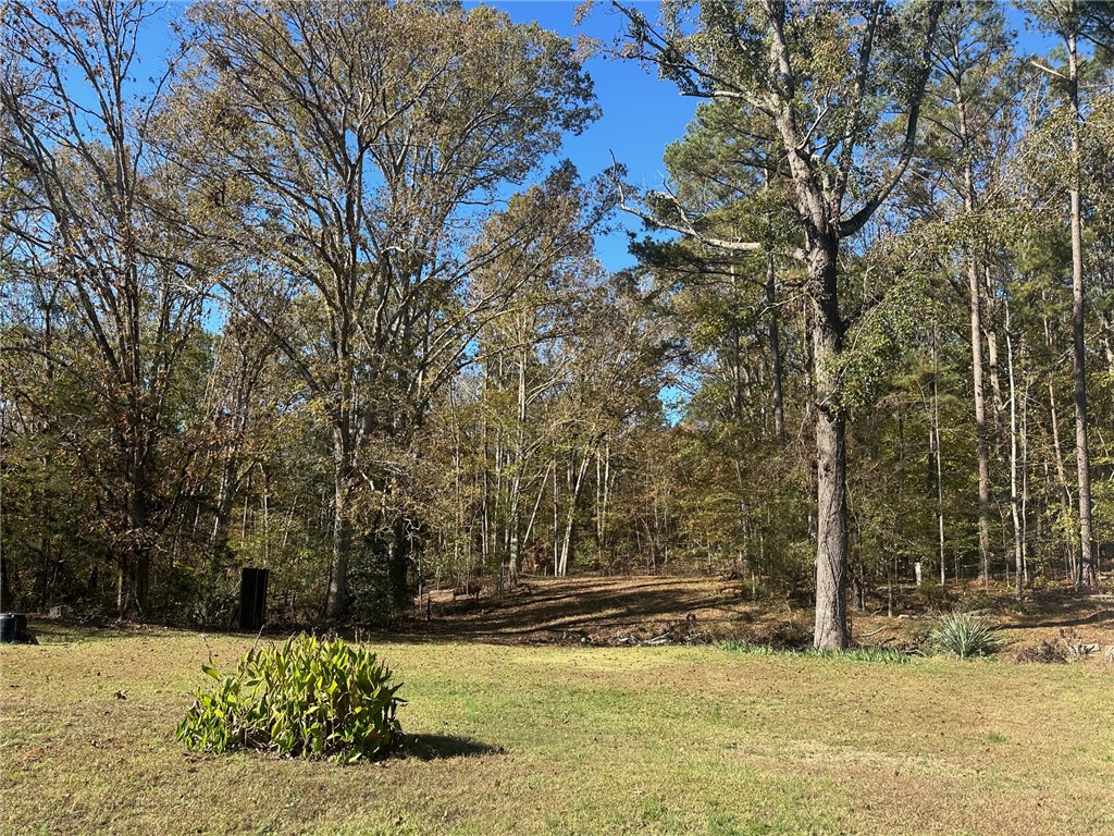 301 Penson Road Honea Path, SC 29654 - Photo 32 of 37