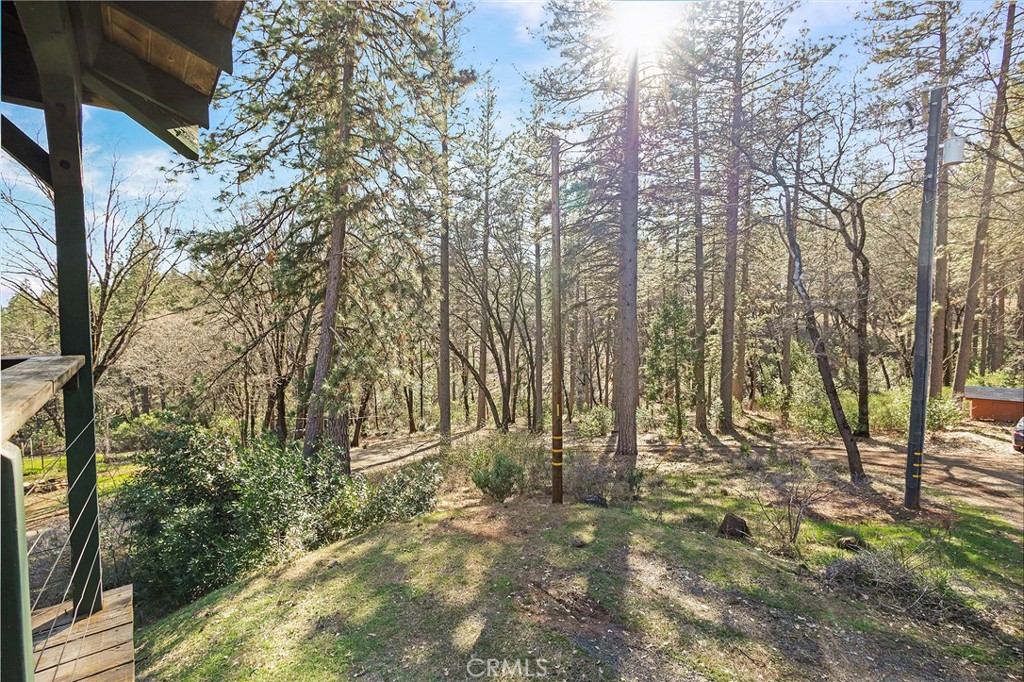 15256 Dorrett Drive Forest Ranch, CA 95942 - Photo 55 of 62