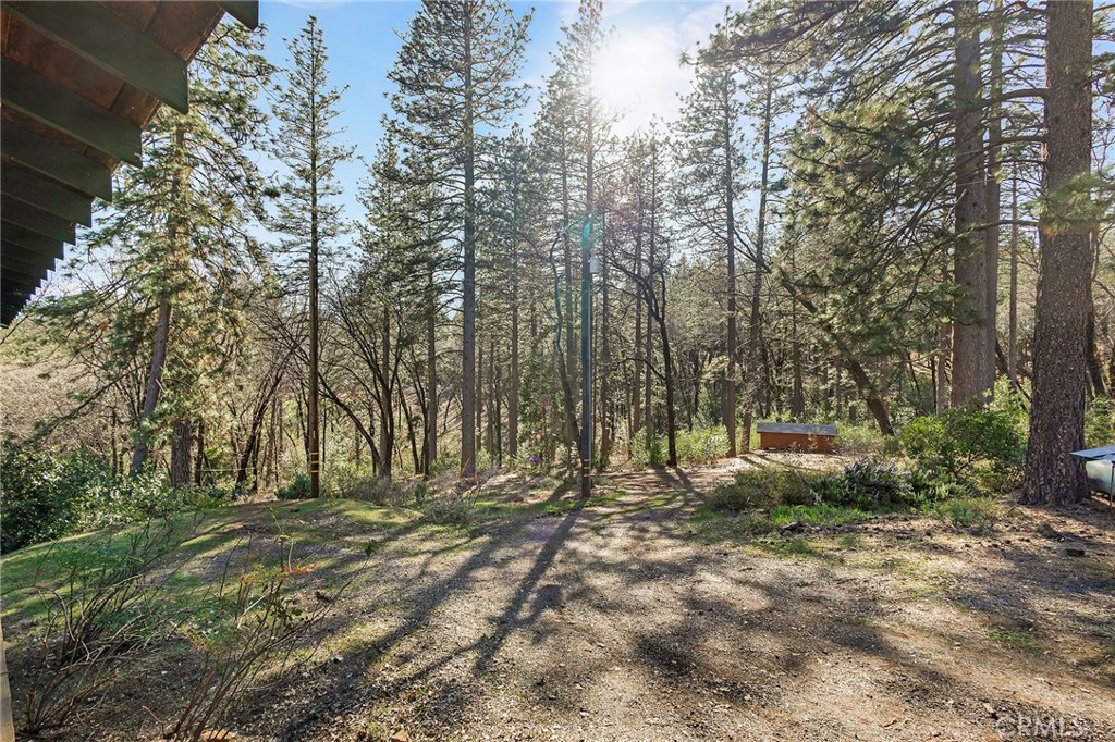 15256 Dorrett Drive Forest Ranch, CA 95942 - Photo 56 of 62