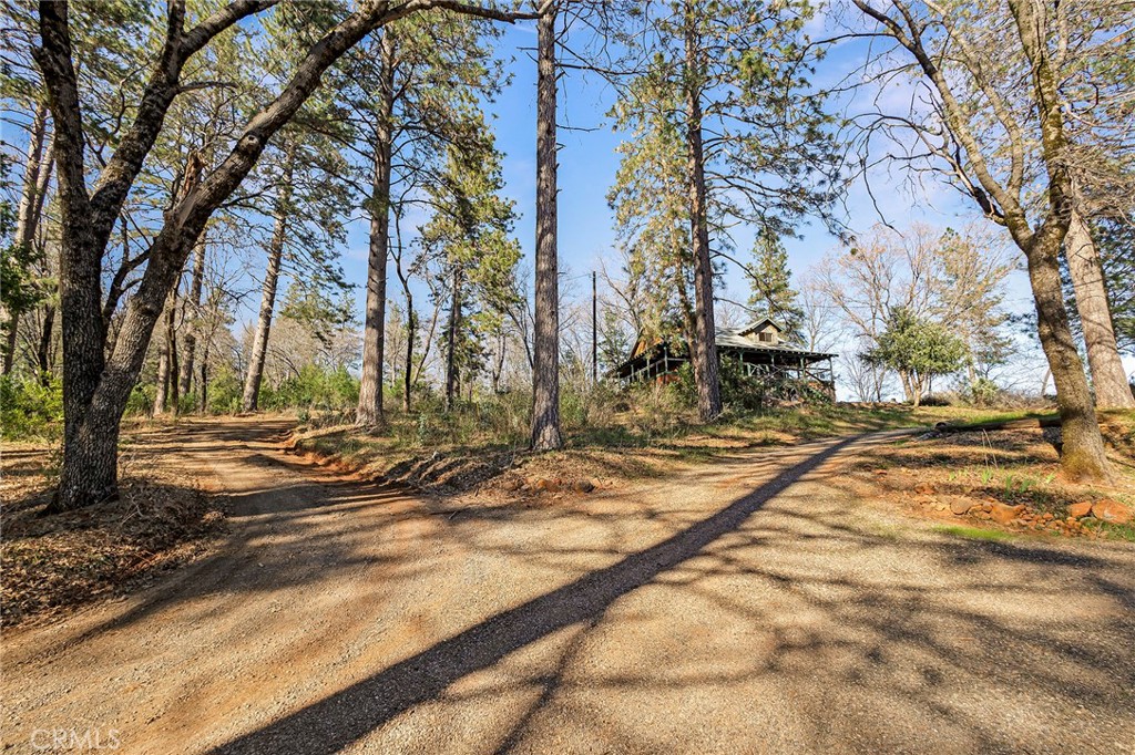 15256 Dorrett Drive Forest Ranch, CA 95942 - Photo 58 of 62