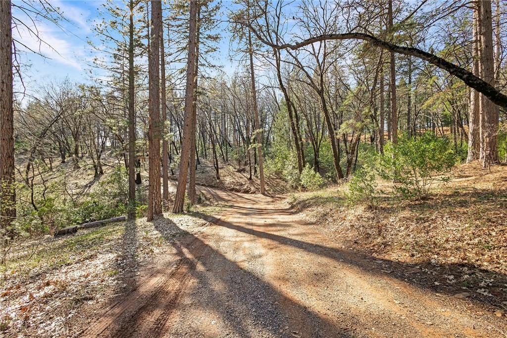 15256 Dorrett Drive Forest Ranch, CA 95942 - Photo 59 of 62
