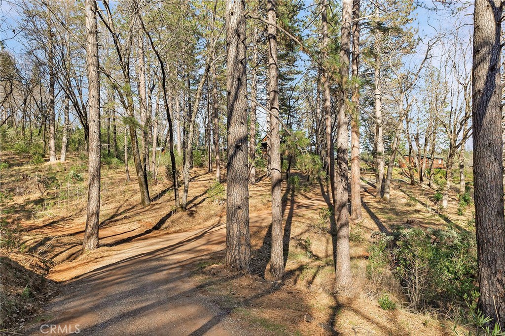 15256 Dorrett Drive Forest Ranch, CA 95942 - Photo 61 of 62