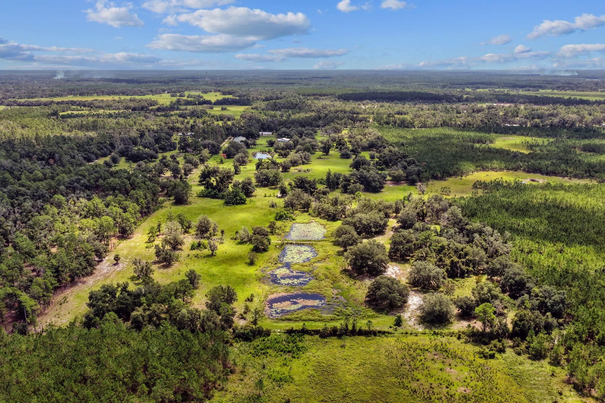 7885 Beach Road Perry, FL 32348 - Photo 63 of 66 Gallery Image 63