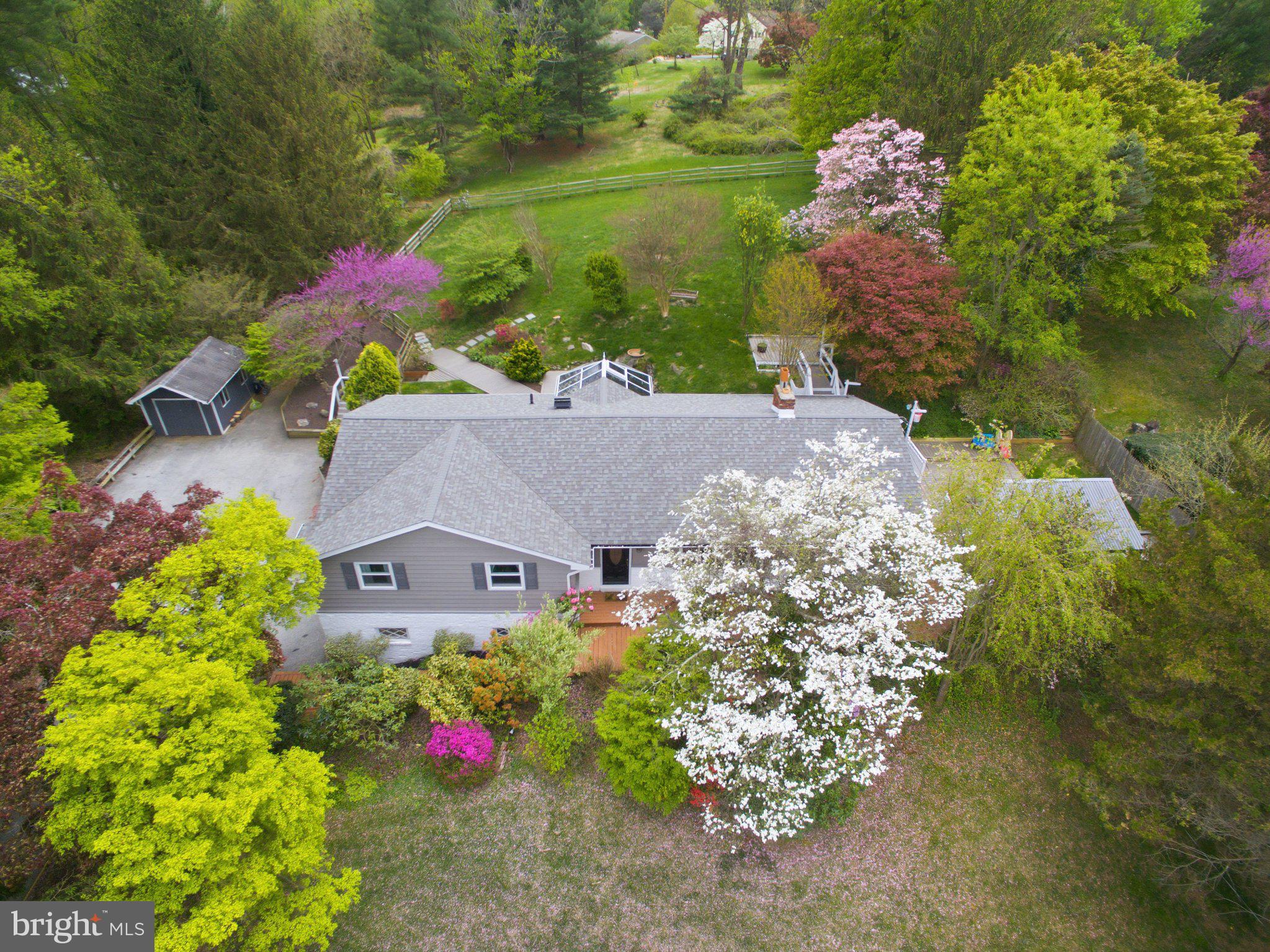 3104 North Providence Road Media, PA 19063 - Photo 3 of 47 Lush greenery surrounds a charming home.