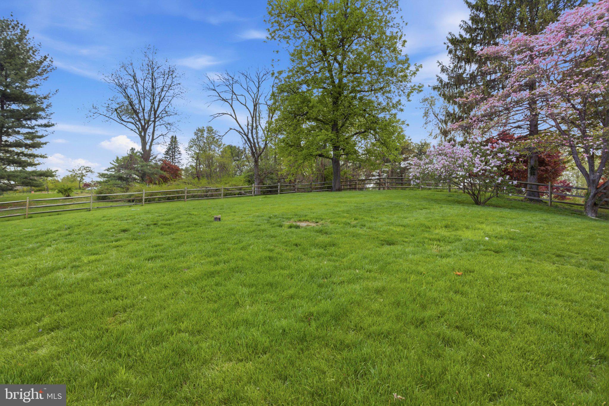 3104 North Providence Road Media, PA 19063 - Photo 41 of 47 Lush green oasis with blooming trees.