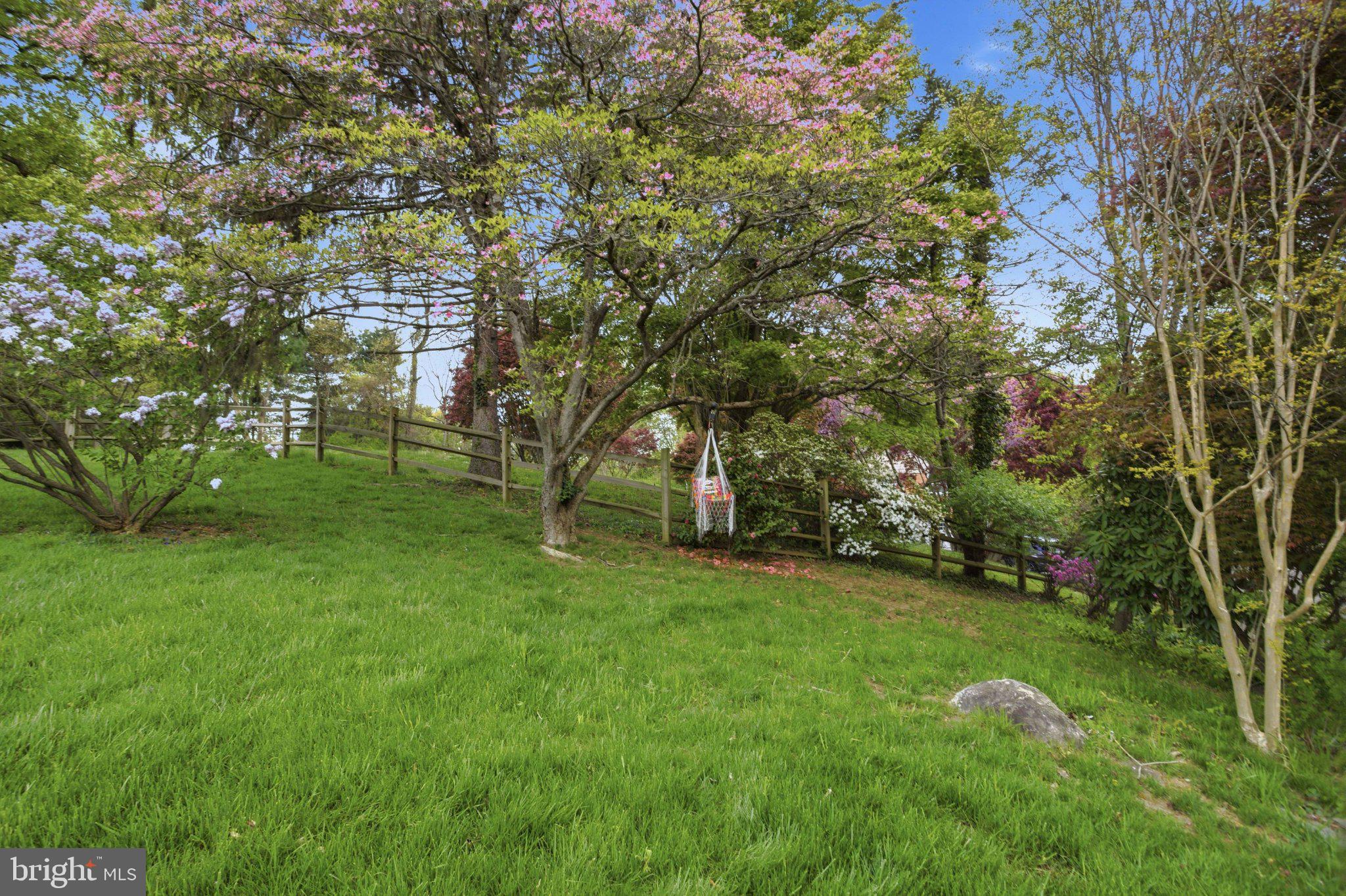3104 North Providence Road Media, PA 19063 - Photo 44 of 47 Serene garden with blooming trees.