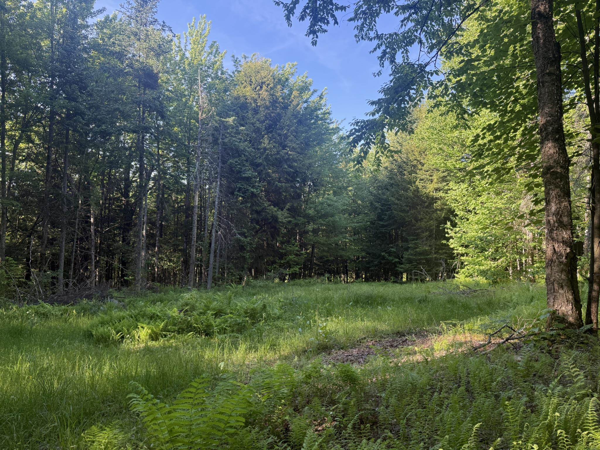 0 Roaring Brook Road Barton, VT 05822 - Photo 18 of 18