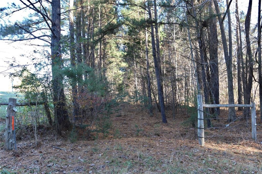 0 South Jim Minor Road Haw River, NC 27258 - Photo 2 of 4 Photo 2
