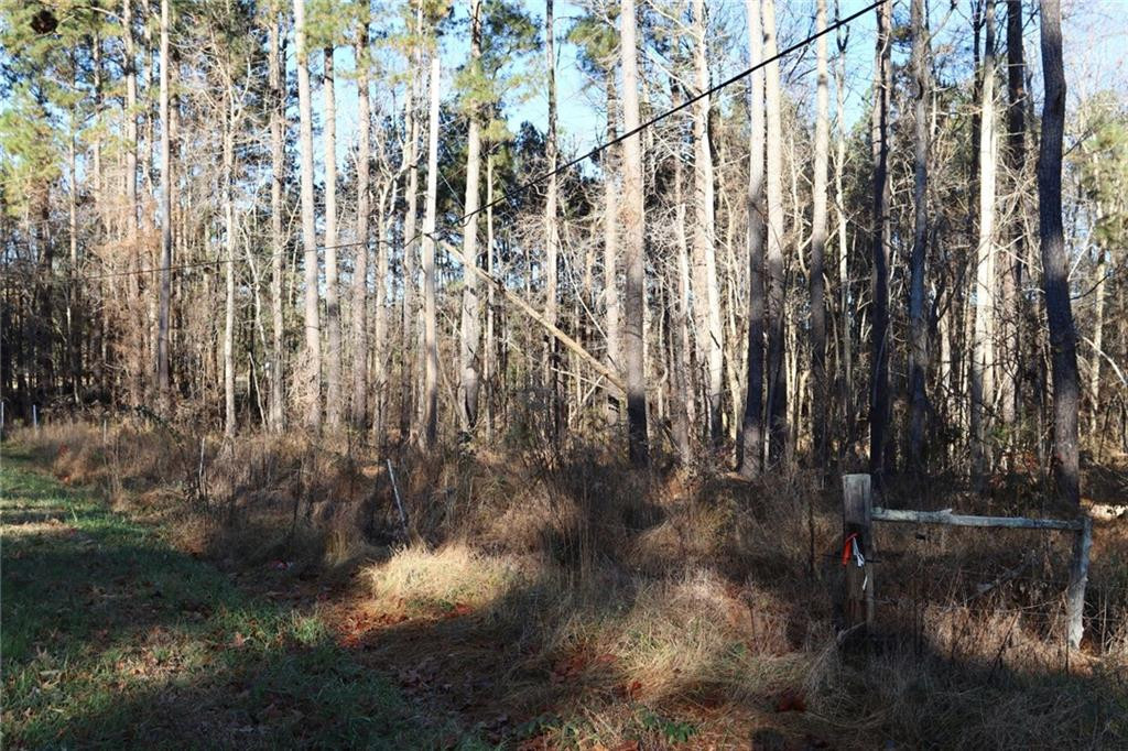 0 South Jim Minor Road Haw River, NC 27258 - Photo 4 of 4 Photo 4