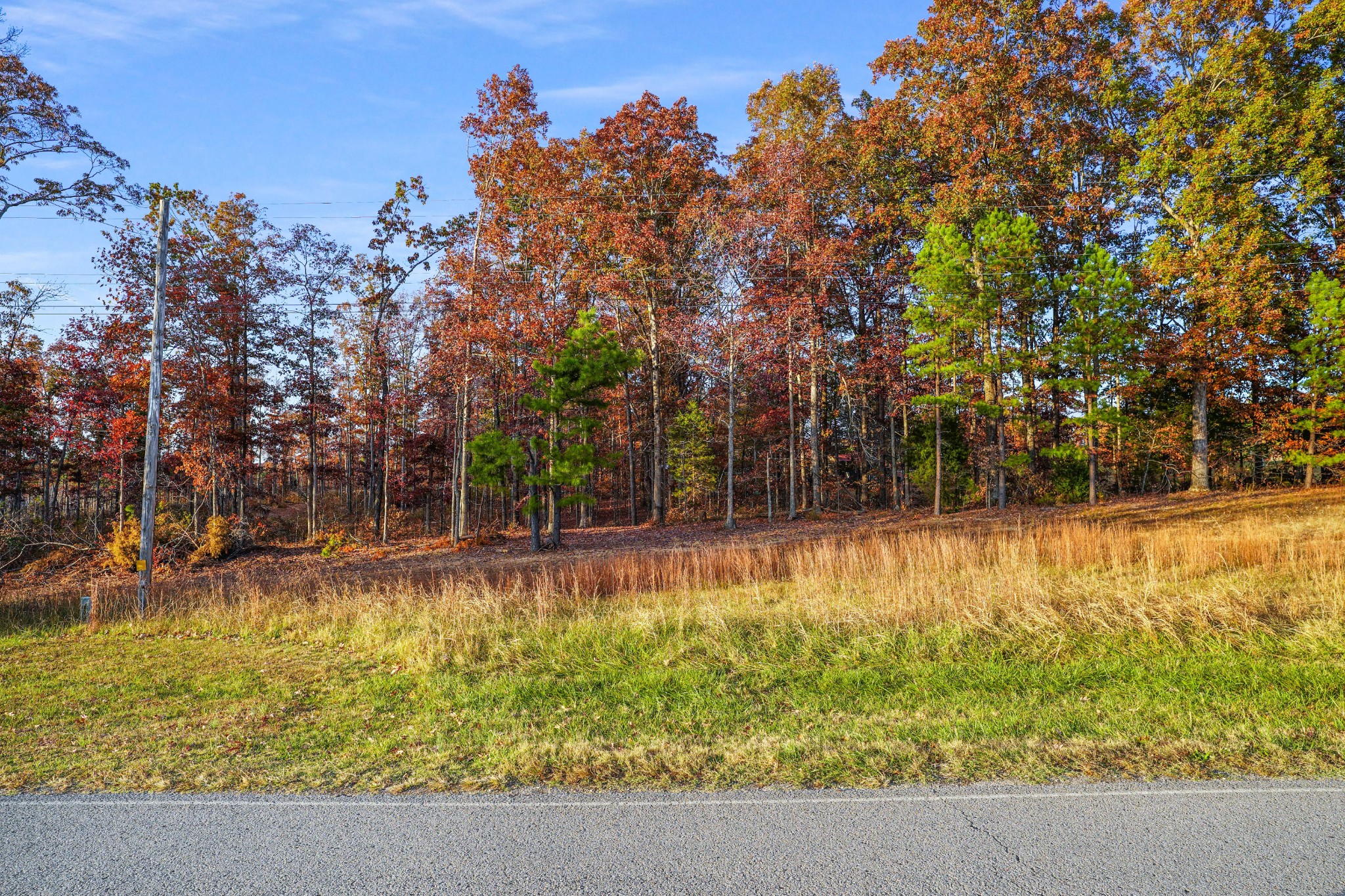 9 Walnut Grove Road Dover, TN 37058 - Photo 2 of 18 Gallery Image 2