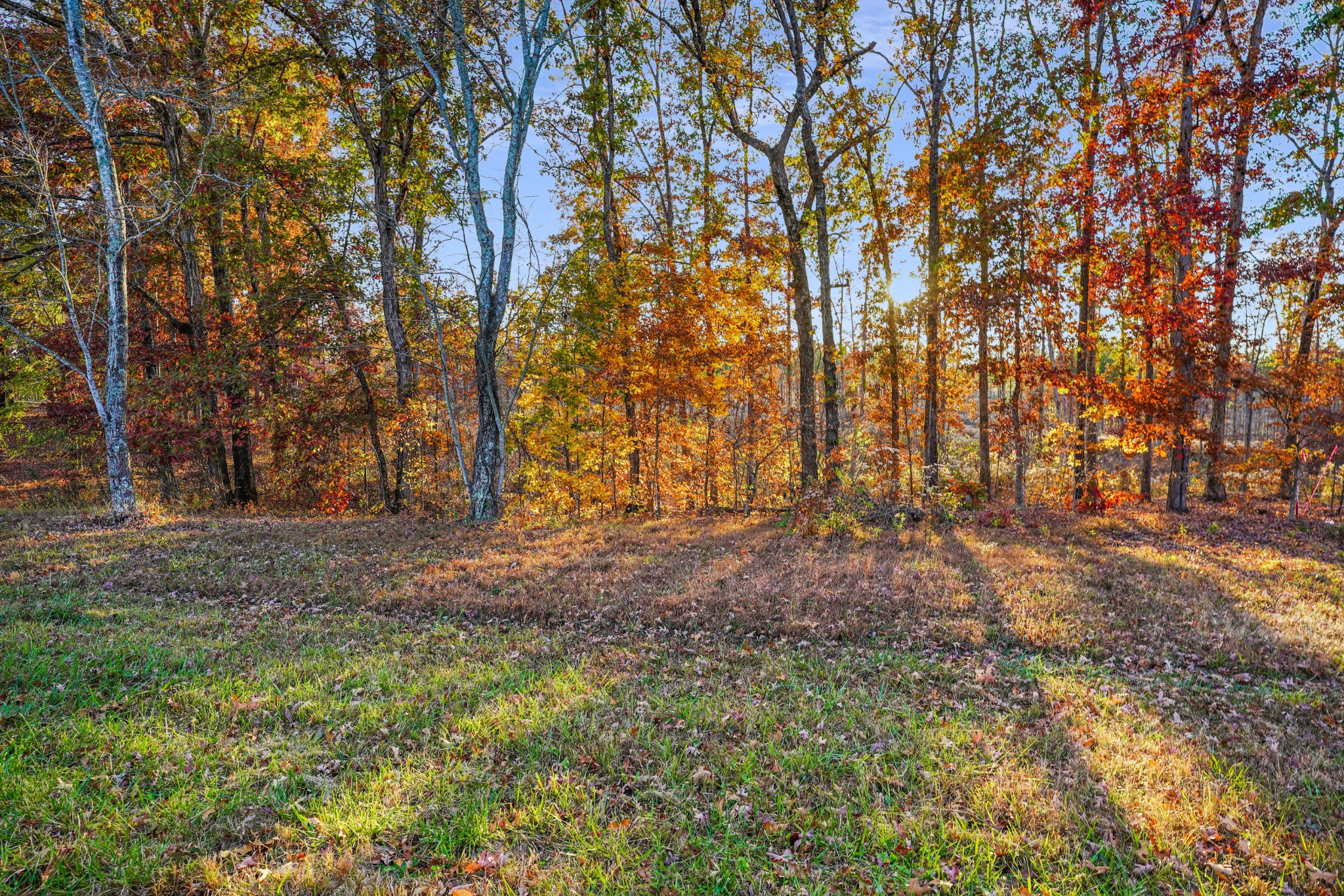 9 Walnut Grove Road Dover, TN 37058 - Photo 3 of 18 Gallery Image 3