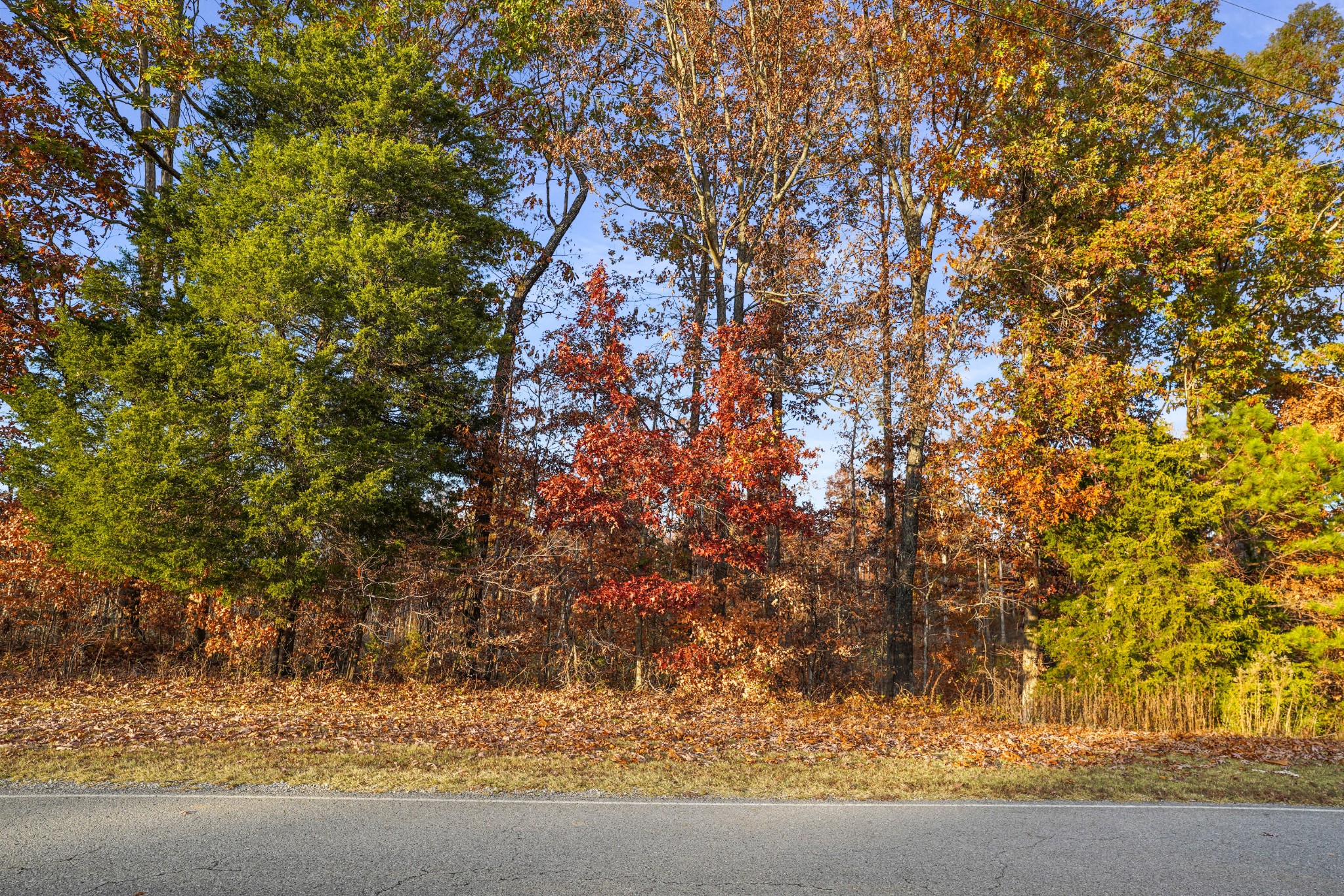 9 Walnut Grove Road Dover, TN 37058 - Photo 4 of 18 Gallery Image 4