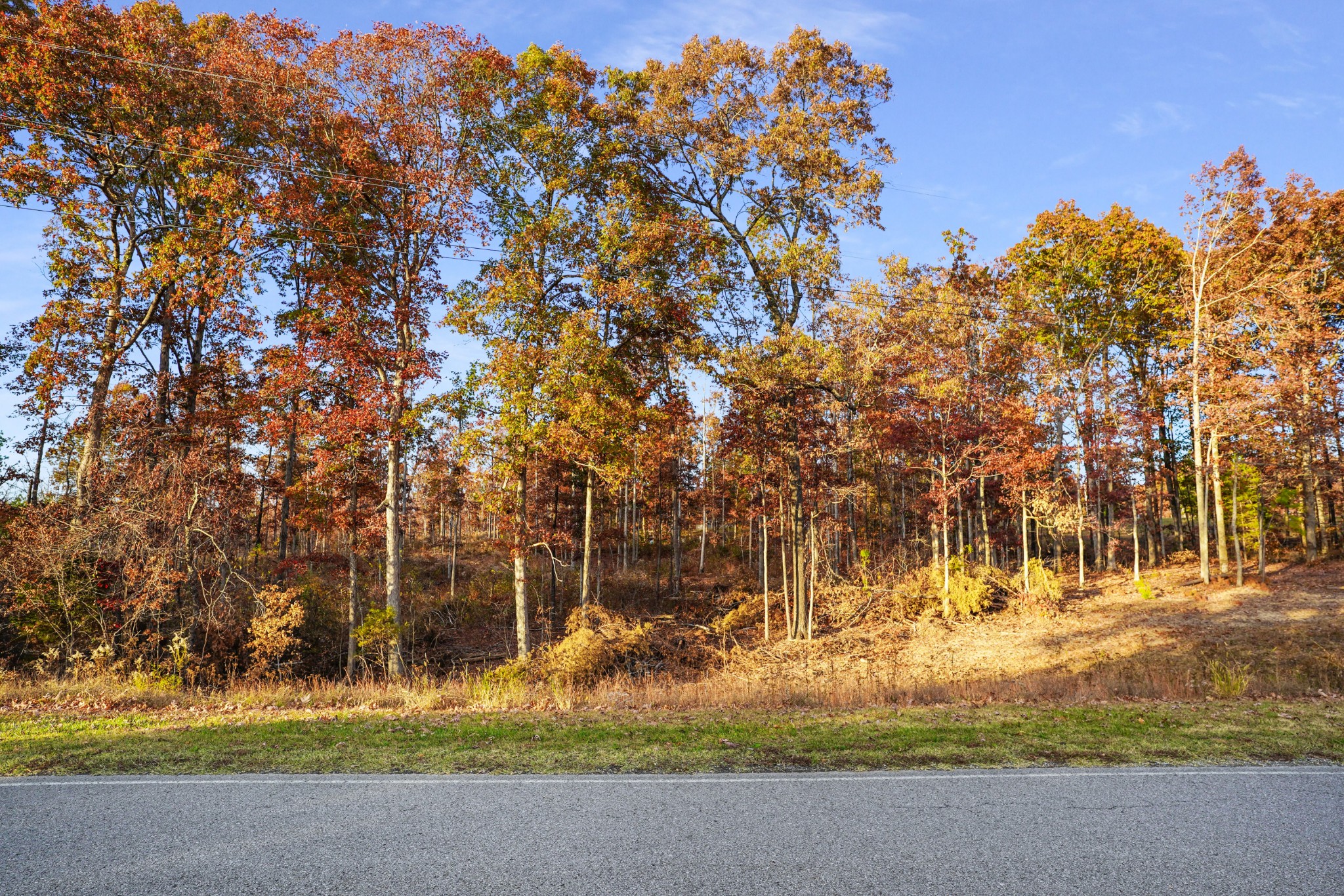 9 Walnut Grove Road Dover, TN 37058 - Photo 5 of 18 Gallery Image 5