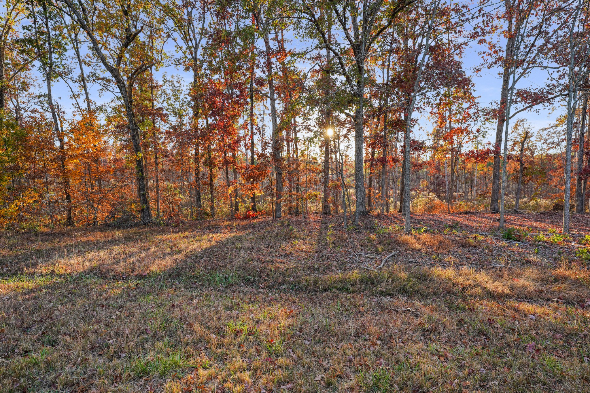 9 Walnut Grove Road Dover, TN 37058 - Photo 6 of 18 Gallery Image 6