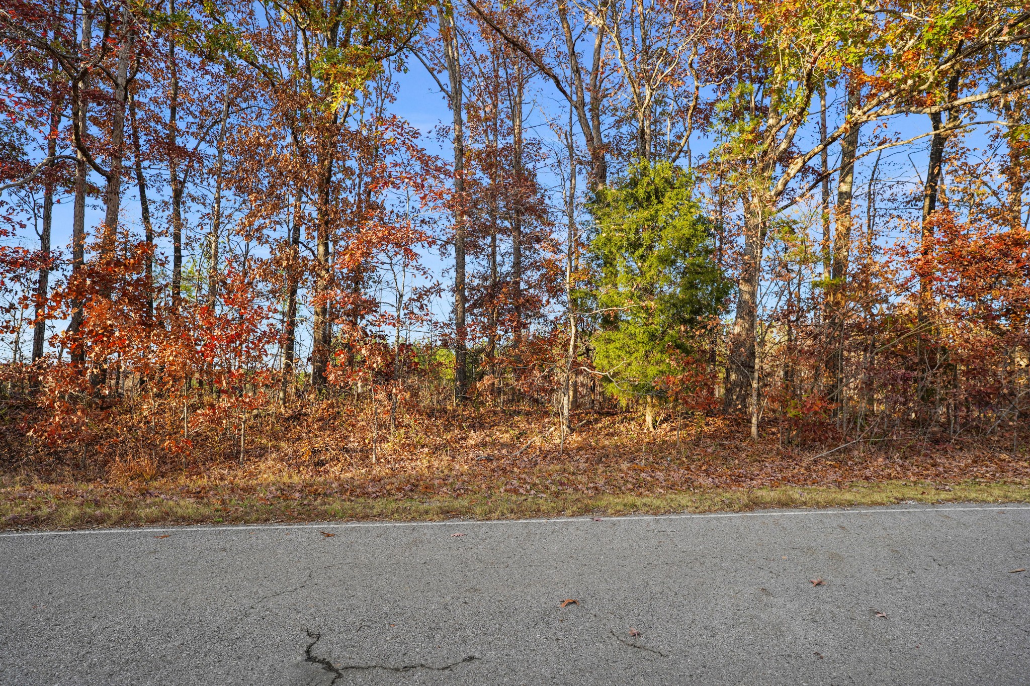 9 Walnut Grove Road Dover, TN 37058 - Photo 8 of 18 Gallery Image 8