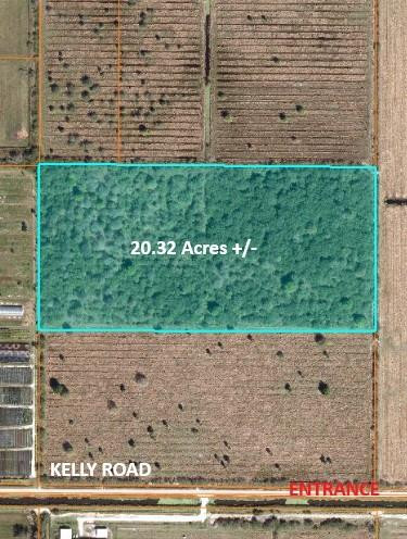 Kelly Road Fort Pierce, FL 34945 - Photo 3 of 11 a view of a back yard