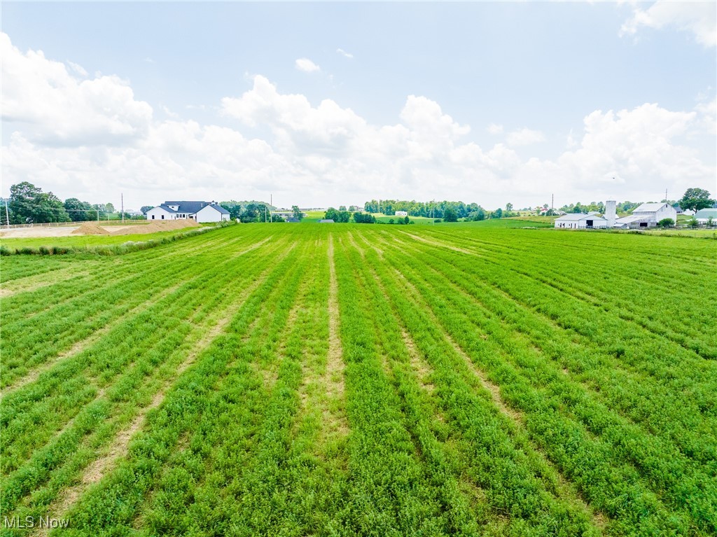 Nonpariel Road Wooster, OH 44691 - Photo 6 of 25 View of green lawn with a view of rural / pastoral area