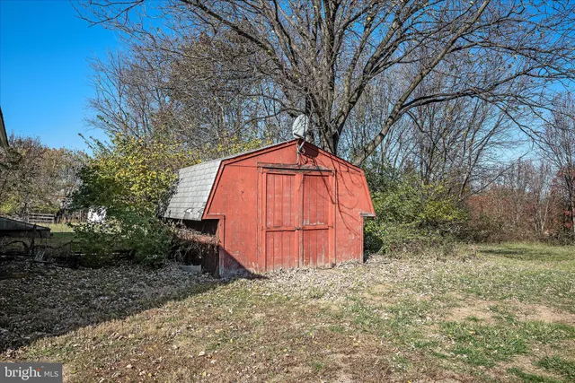 a view of a yard with a tree in the background