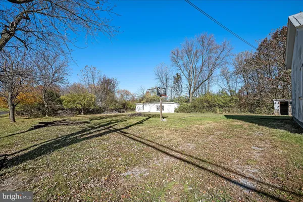 a view of a yard with a tree