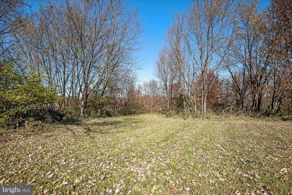 a view of a yard with an trees