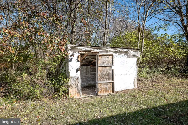 a view of lake and trees