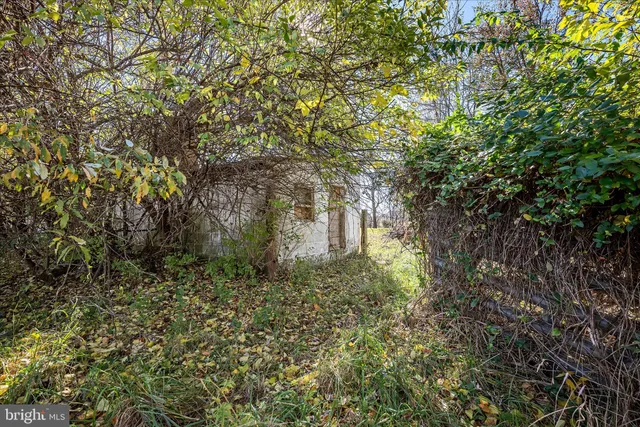 a view of lake and mountain