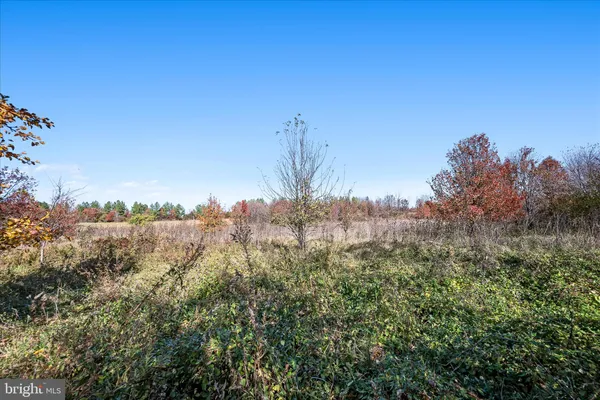 a view of lake and mountain