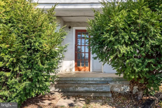 a view of a yard with plants