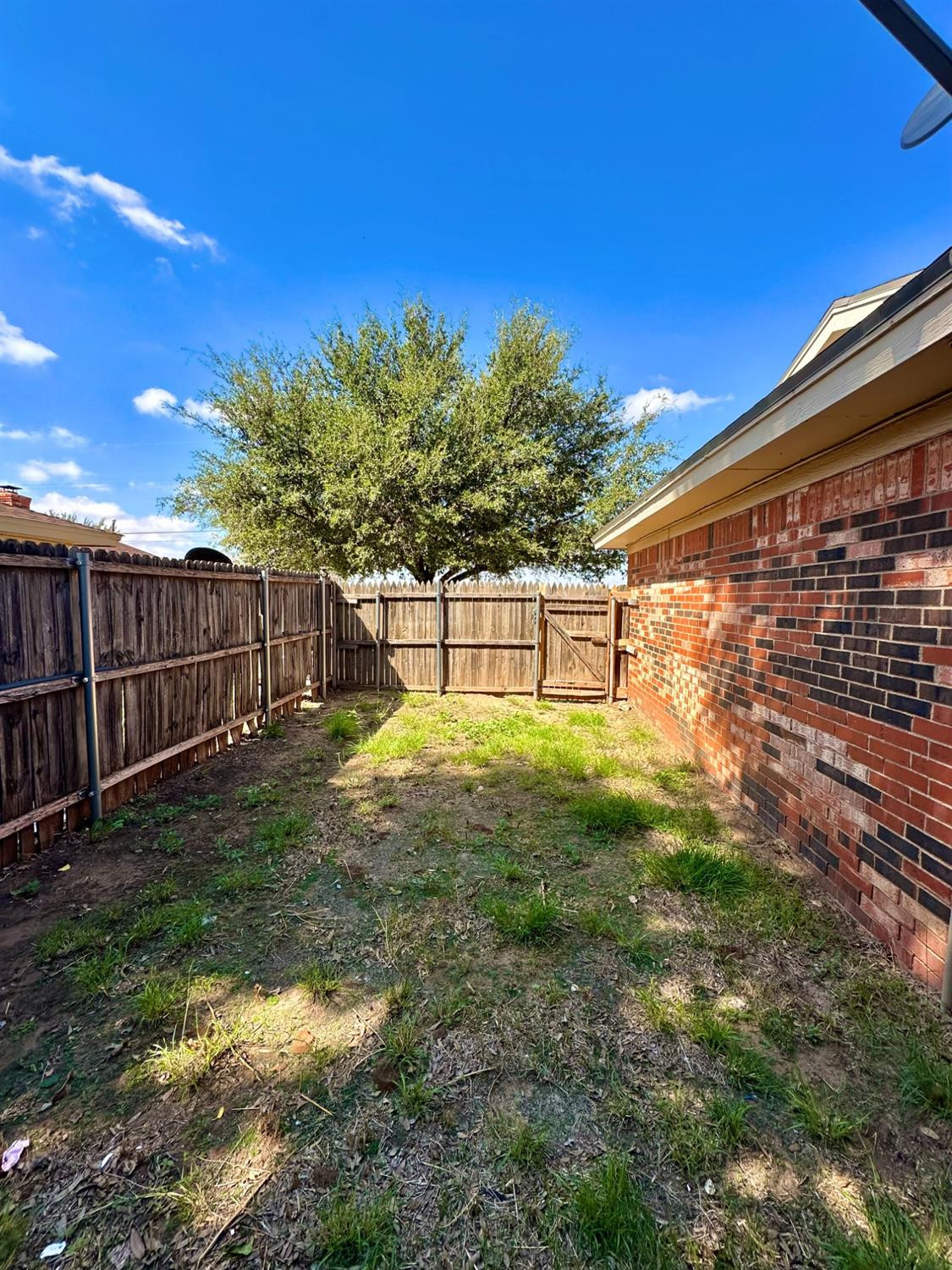 7805 Memphis Avenue, Unit B Lubbock, TX 79423 - Photo 13 of 13 a view of backyard with green space