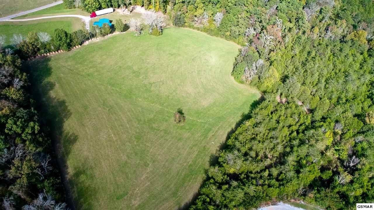 848 Joe Reed Road Bybee, TN 37713 - Photo 5 of 20 Gallery Image 5