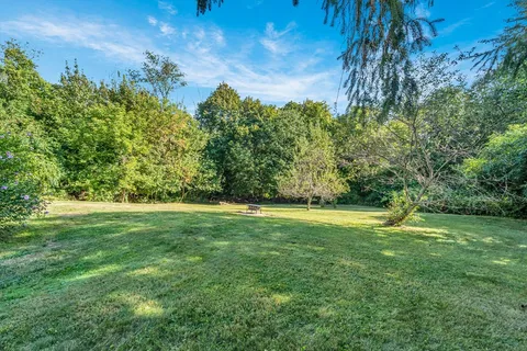 a view of a green yard