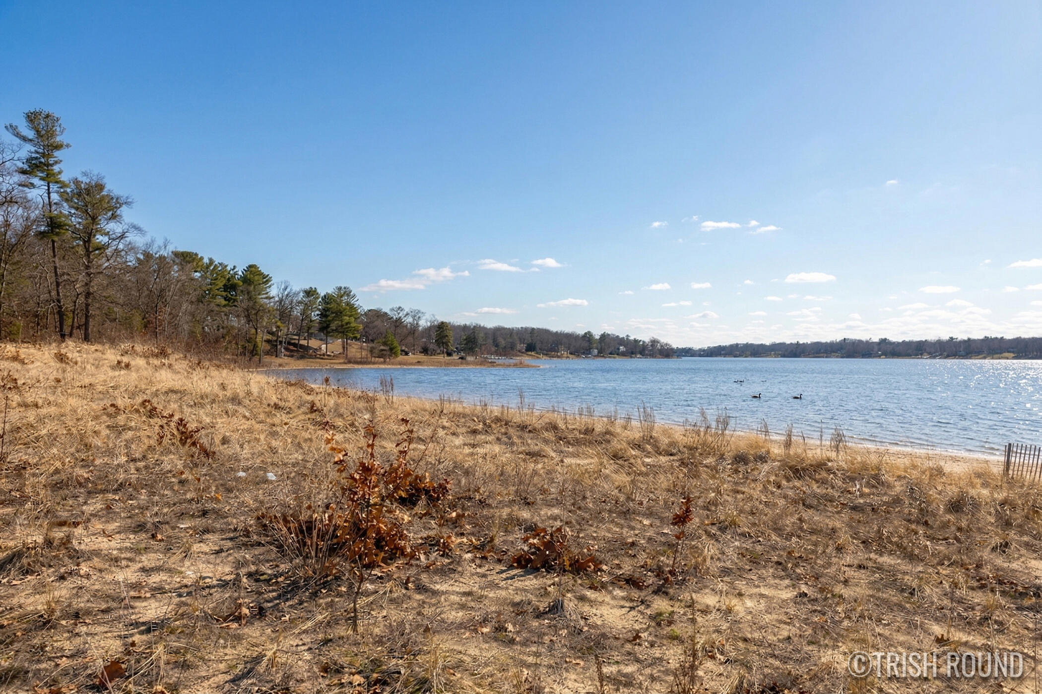609 3rd Street Muskegon, MI 49445 - Photo 26 of 30 609 3rd St_41-Sunny