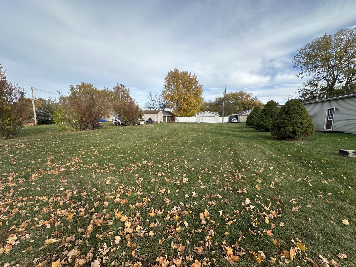 626 3rd Avenue Ottawa, IL 61350 - Photo 2 of 3 a big yard with lots of green space and palm trees