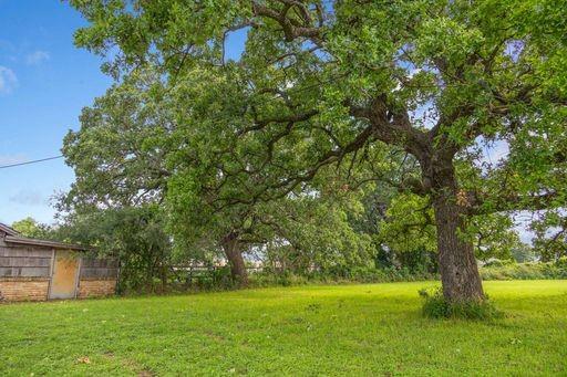 1101 Early Boulevard Early, TX 76802 - Photo 11 of 34 a view of a trees with a yard