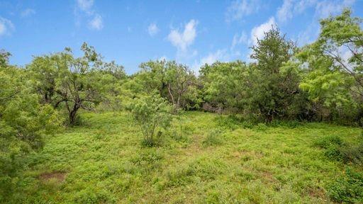 1101 Early Boulevard Early, TX 76802 - Photo 13 of 34 a view of a big yard with large trees