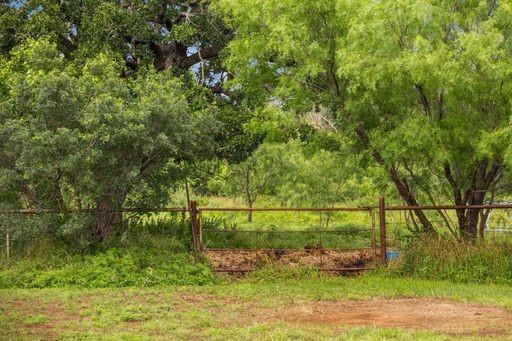 1101 Early Boulevard Early, TX 76802 - Photo 18 of 34 a view of backyard with green space