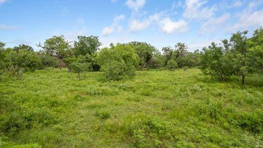 1101 Early Boulevard Early, TX 76802 - Photo 24 of 34 a view of a big yard with plants and a large tree