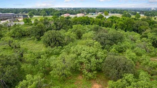 a view of a lush green forest