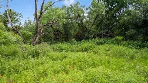 1101 Early Boulevard Early, TX 76802 - Photo 31 of 34 a view of a lush green forest