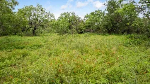 a view of outdoor space and green field