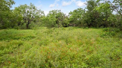 1101 Early Boulevard Early, TX 76802 - Photo 7 of 34 a view of a green field with lots of bushes