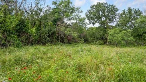 a view of a trees with a yard
